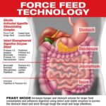 Feast Mode 90 Capsules - Image 2