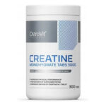 Ostrovit Creatine Monohydrate 3000 300 Tabs