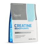 Ostrovit Creatine Monohydrate 500 gr